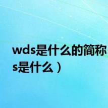 wds是什么的简称（wds是什么）