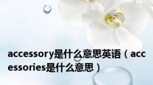 accessory是什么意思英语（accessories是什么意思）