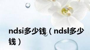 ndsi多少钱（ndsl多少钱）