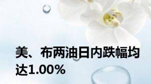 美、布两油日内跌幅均达1.00%