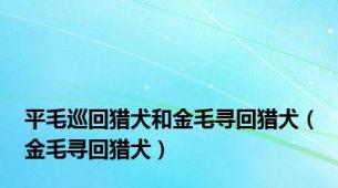 平毛巡回猎犬和金毛寻回猎犬（金毛寻回猎犬）