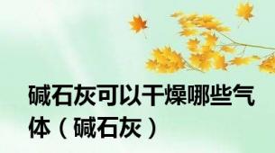 碱石灰可以干燥哪些气体（碱石灰）