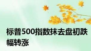 标普500指数抹去盘初跌幅转涨