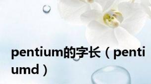 pentium的字长（pentiumd）