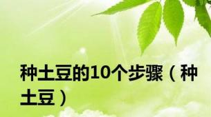 种土豆的10个步骤（种土豆）