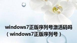 windows7正版序列号激活码吗（windows7正版序列号）