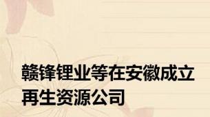 赣锋锂业等在安徽成立再生资源公司