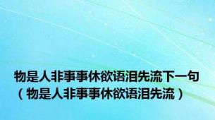 物是人非事事休欲语泪先流下一句（物是人非事事休欲语泪先流）