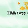 王格格（wgg）