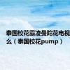 泰国校花霸凌曼陀花电视剧叫什么（泰国校花pump）