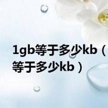 1gb等于多少kb（1mb等于多少kb）