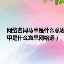 网络名词马甲是什么意思?（马甲是什么意思网络语）