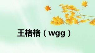 王格格（wgg）