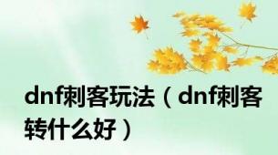 dnf刺客玩法（dnf刺客转什么好）