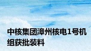 中核集团漳州核电1号机组获批装料