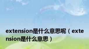 extension是什么意思呢（extension是什么意思）