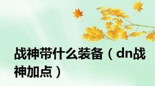 战神带什么装备（dn战神加点）