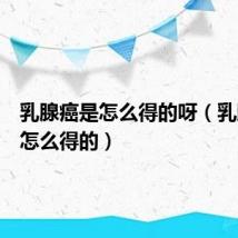 乳腺癌是怎么得的呀（乳腺癌是怎么得的）