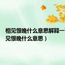 相见恨晚什么意思解释一下（相见恨晚什么意思）