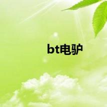 bt电驴