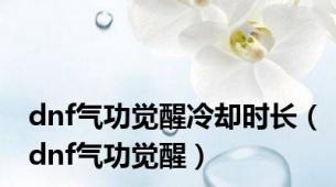 dnf气功觉醒冷却时长（dnf气功觉醒）