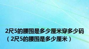 2尺5的腰围是多少厘米穿多少码（2尺5的腰围是多少厘米）