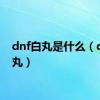 dnf白丸是什么（dnf白丸）