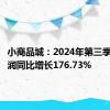 小商品城：2024年第三季度净利润同比增长176.73%