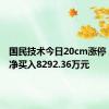 国民技术今日20cm涨停 二机构净买入8292.36万元