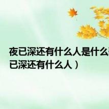 夜已深还有什么人是什么歌（夜已深还有什么人）