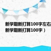 新学期新打算100字左右作文（新学期新打算100字）