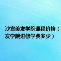 沙宣美发学院课程价格（沙宣美发学院进修学费多少）