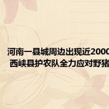 河南一县城周边出现近2000头野猪 西峡县护农队全力应对野猪侵扰