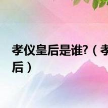 孝仪皇后是谁?（孝仪皇后）