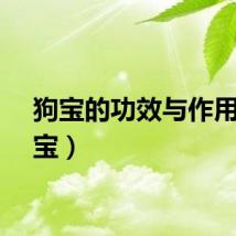 狗宝的功效与作用（狗宝）