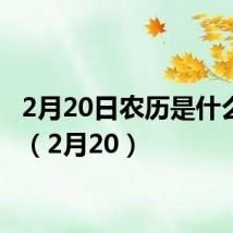 2月20日农历是什么星座（2月20）