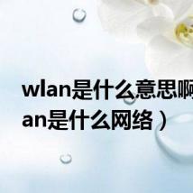 wlan是什么意思啊（wlan是什么网络）