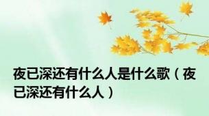 夜已深还有什么人是什么歌（夜已深还有什么人）