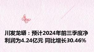 川发龙蟒：预计2024年前三季度净利润为4.24亿元 同比增长30.46%