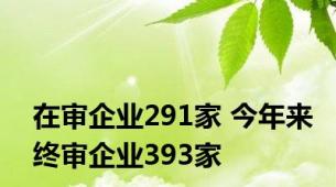 在审企业291家 今年来终审企业393家