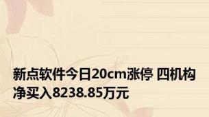 新点软件今日20cm涨停 四机构净买入8238.85万元