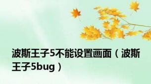 波斯王子5不能设置画面（波斯王子5bug）