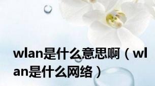 wlan是什么意思啊（wlan是什么网络）