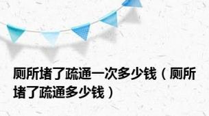 厕所堵了疏通一次多少钱（厕所堵了疏通多少钱）