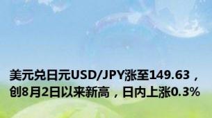 美元兑日元USD/JPY涨至149.63，创8月2日以来新高，日内上涨0.3%