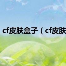 cf皮肤盒子（cf皮肤包）