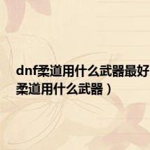 dnf柔道用什么武器最好（dnf柔道用什么武器）