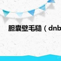 胆囊壁毛糙（dnb）