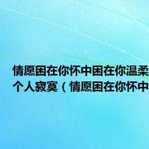 情愿困在你怀中困在你温柔不想一个人寂寞（情愿困在你怀中）