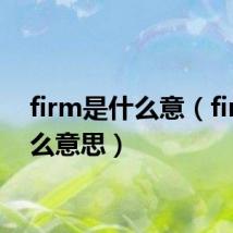 firm是什么意（firm什么意思）